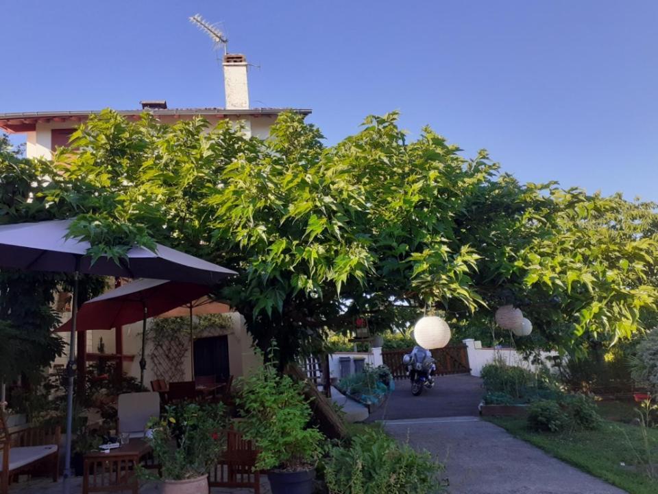 Au Bosquet, Chambre Et Salle De Bains Avec Petit Dejeuner A 600 M Du Centre Dans Un Cadre Calme Et Verdoyant Salies-de-Béarn Exterior foto
